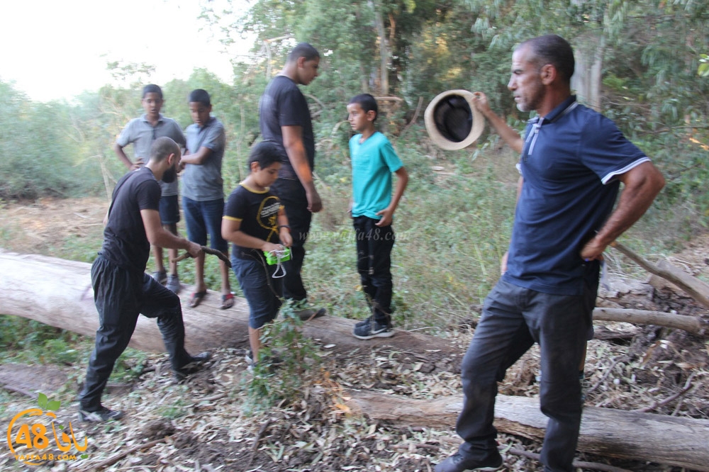 mokhayam picrtyere (99).jpeg